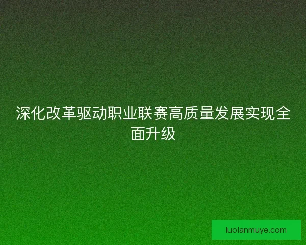 深化改革驱动职业联赛高质量发展实现全面升级