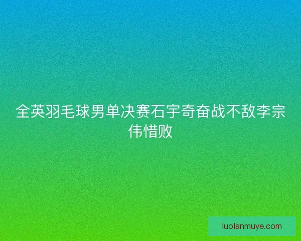 全英羽毛球男单决赛石宇奇奋战不敌李宗伟惜败
