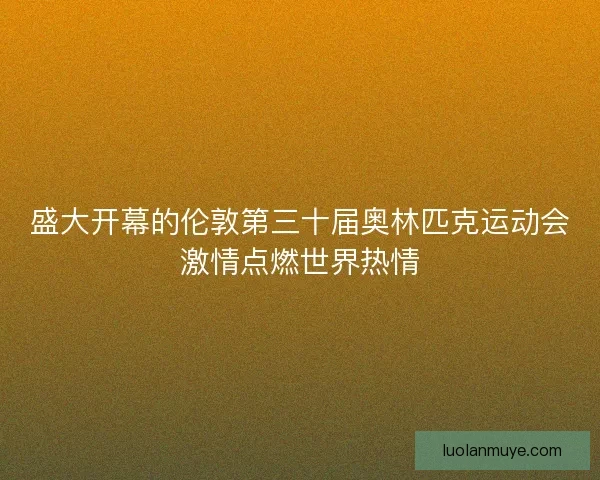 盛大开幕的伦敦第三十届奥林匹克运动会激情点燃世界热情