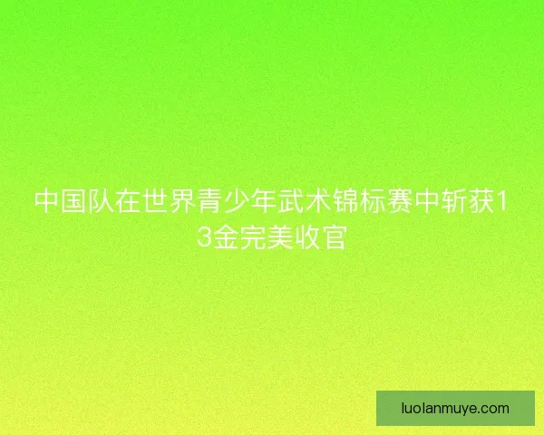 中国队在世界青少年武术锦标赛中斩获13金完美收官